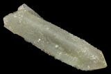 Sage-Green Quartz Crystals with Dual Core - Mongolia #169909-1